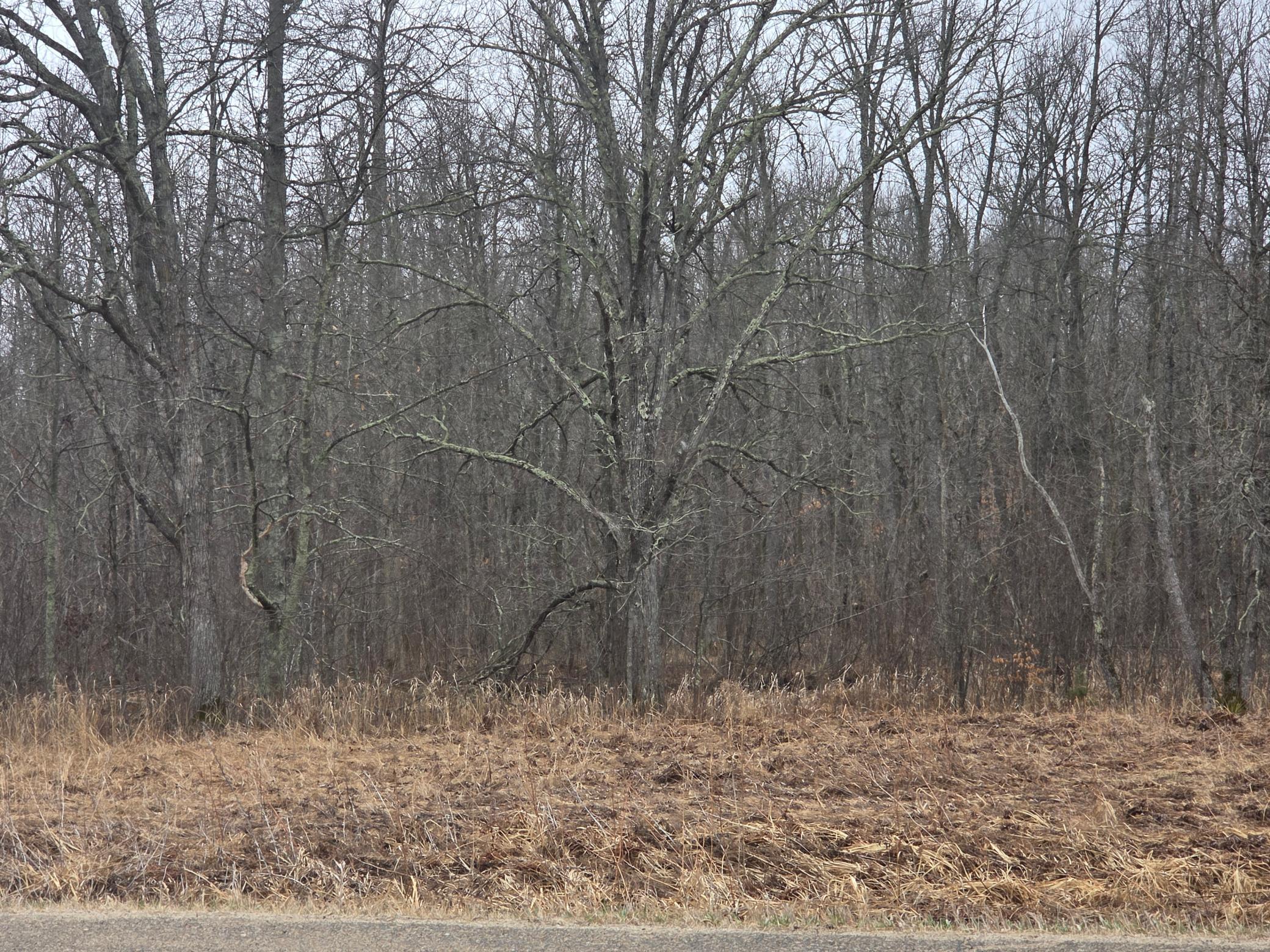20260414_111401.jpg