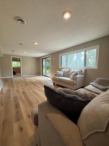 Lower Level Family Room .jpeg