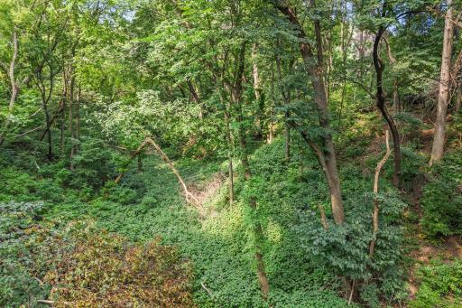 22-web-or-mls-11100 Schoolcraft Rd-22.jpg