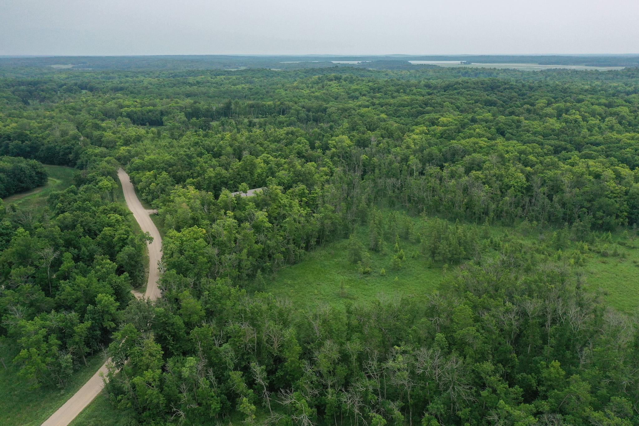 DJI_0938.jpg