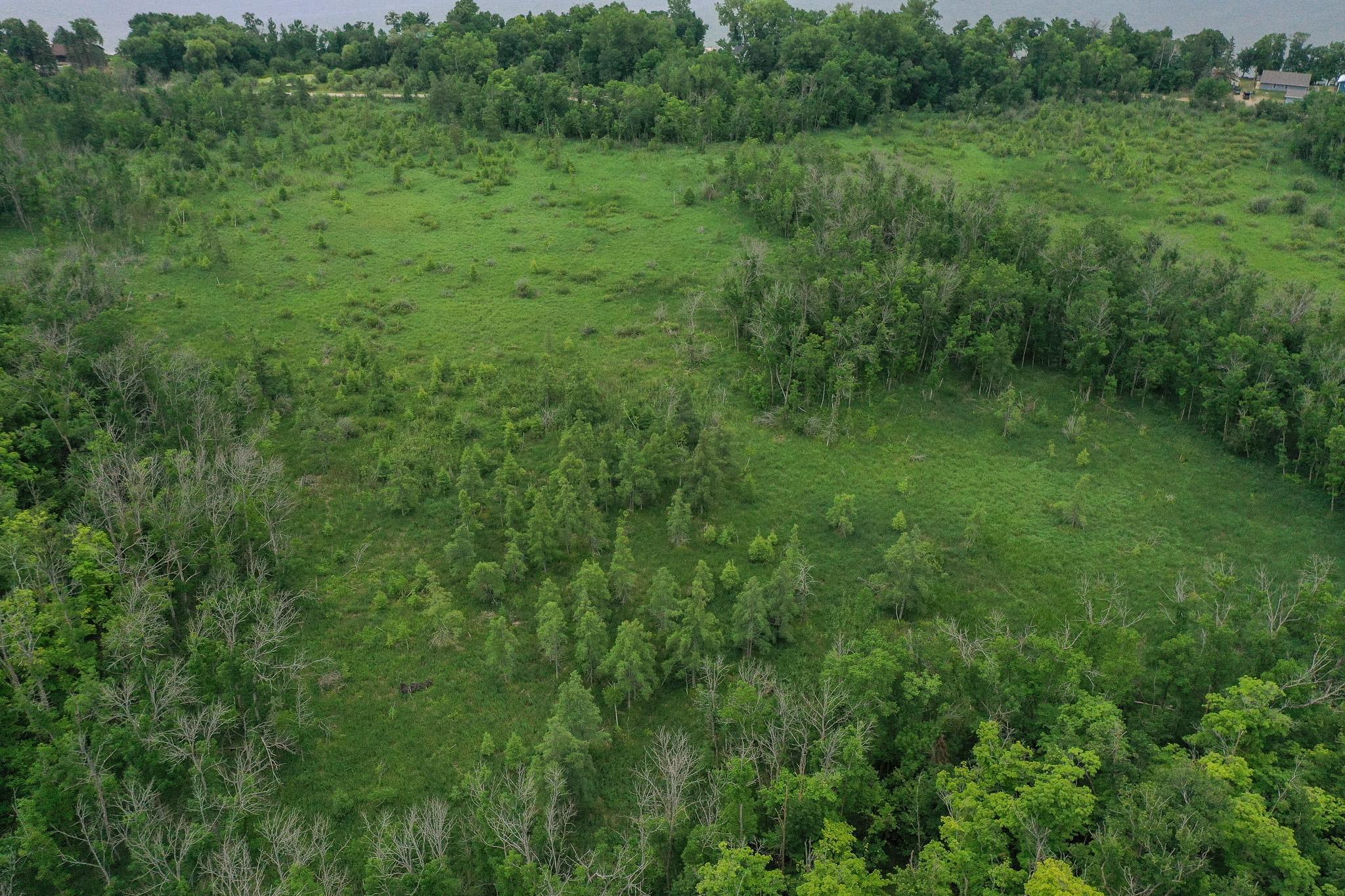 DJI_0934.jpg