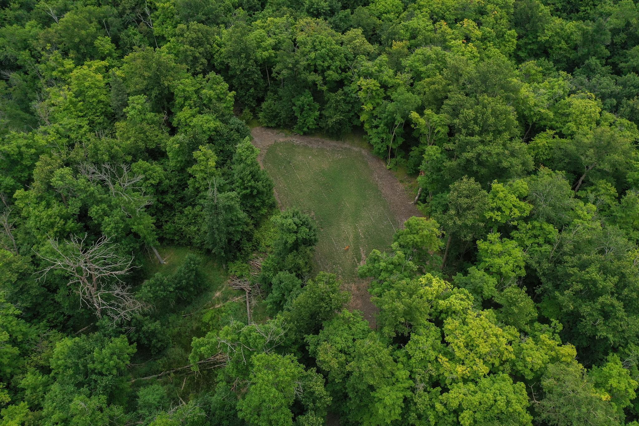 DJI_0926.jpg