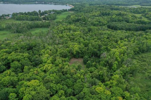 DJI_0928.jpg