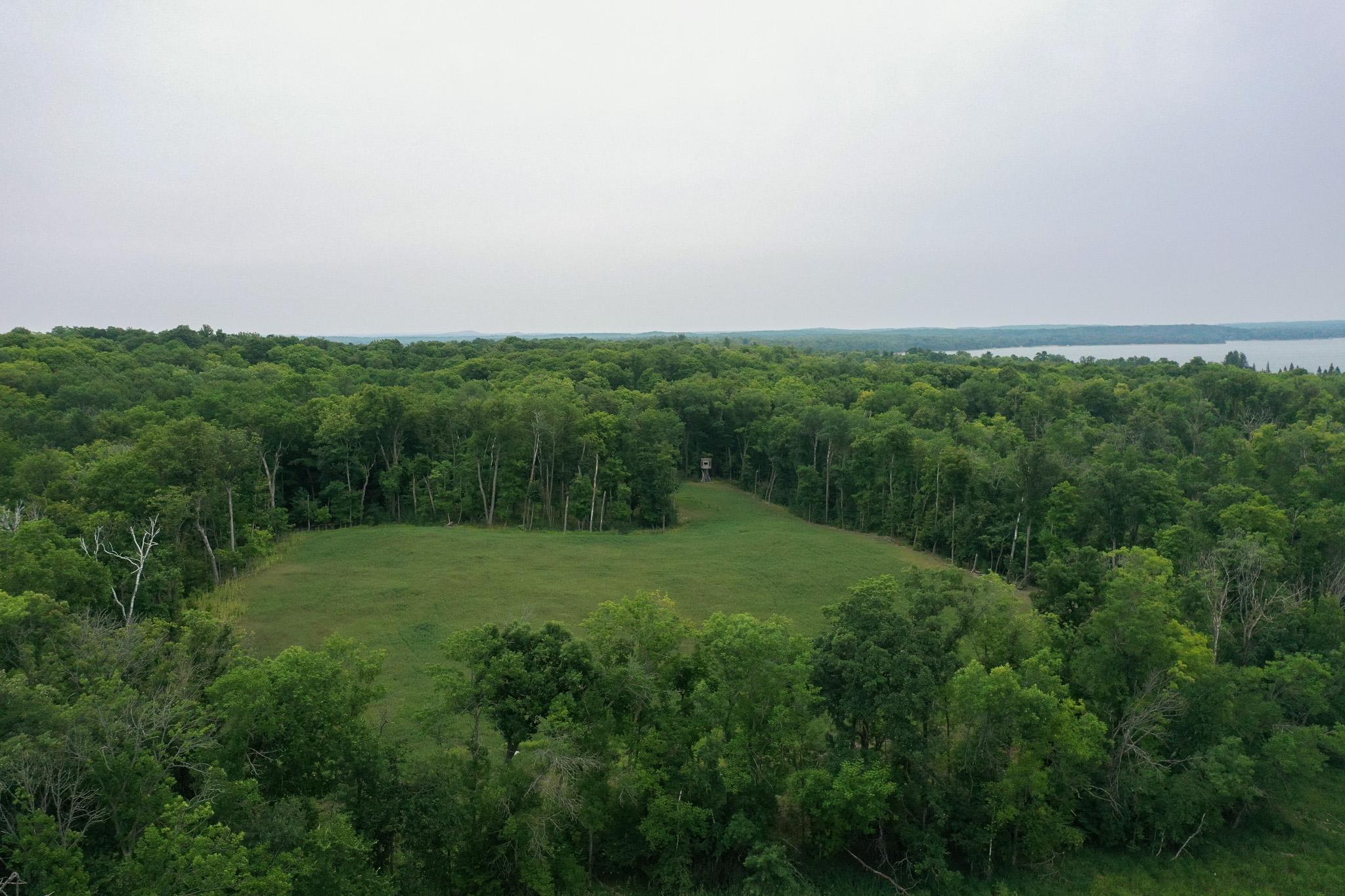 DJI_0973.jpg