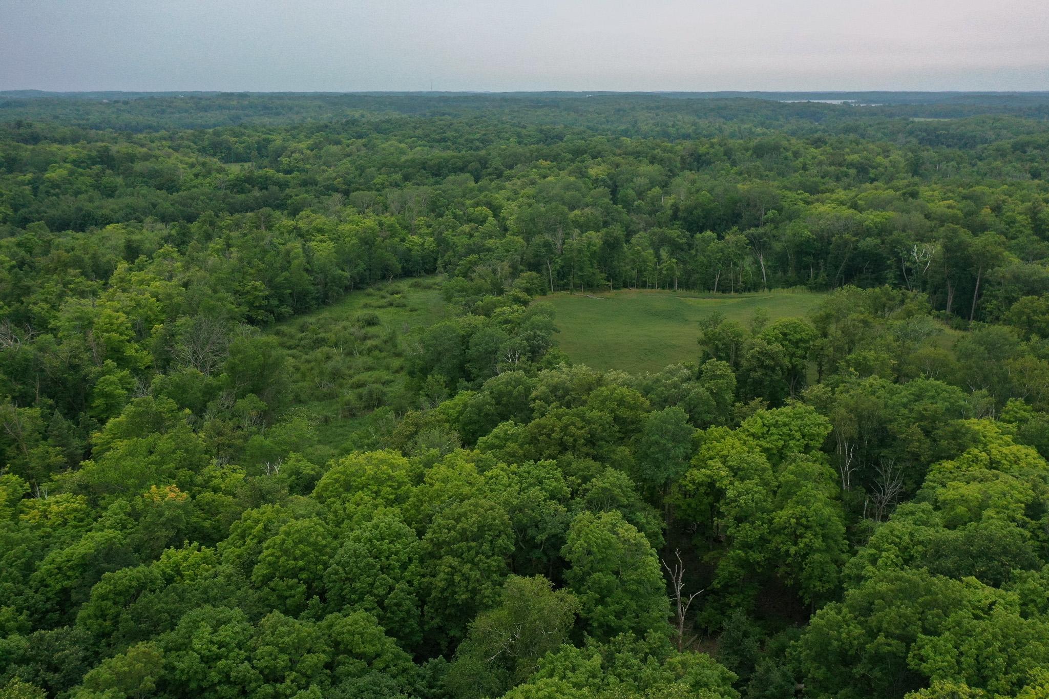 DJI_0977.jpg