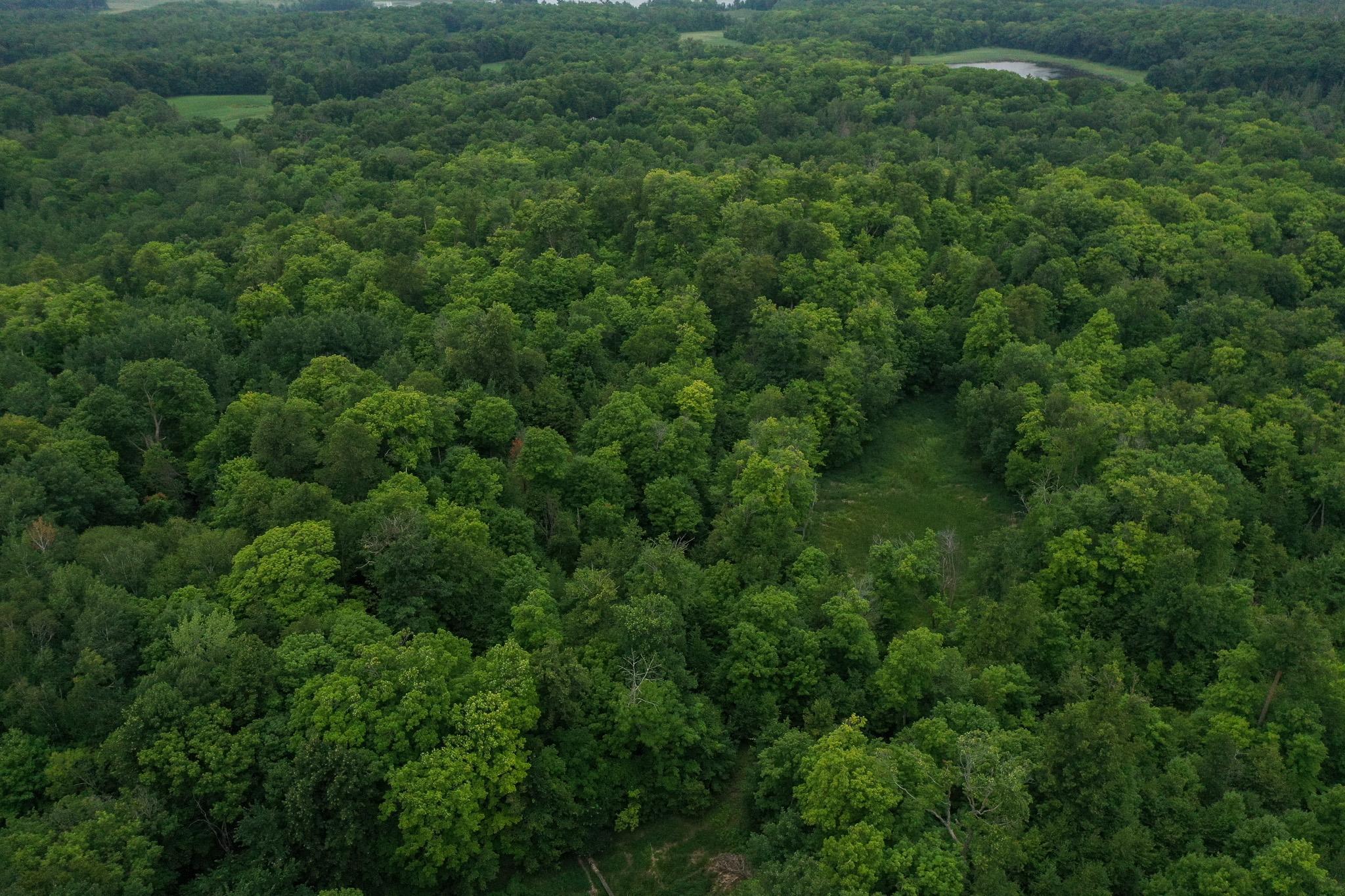 DJI_0970.jpg