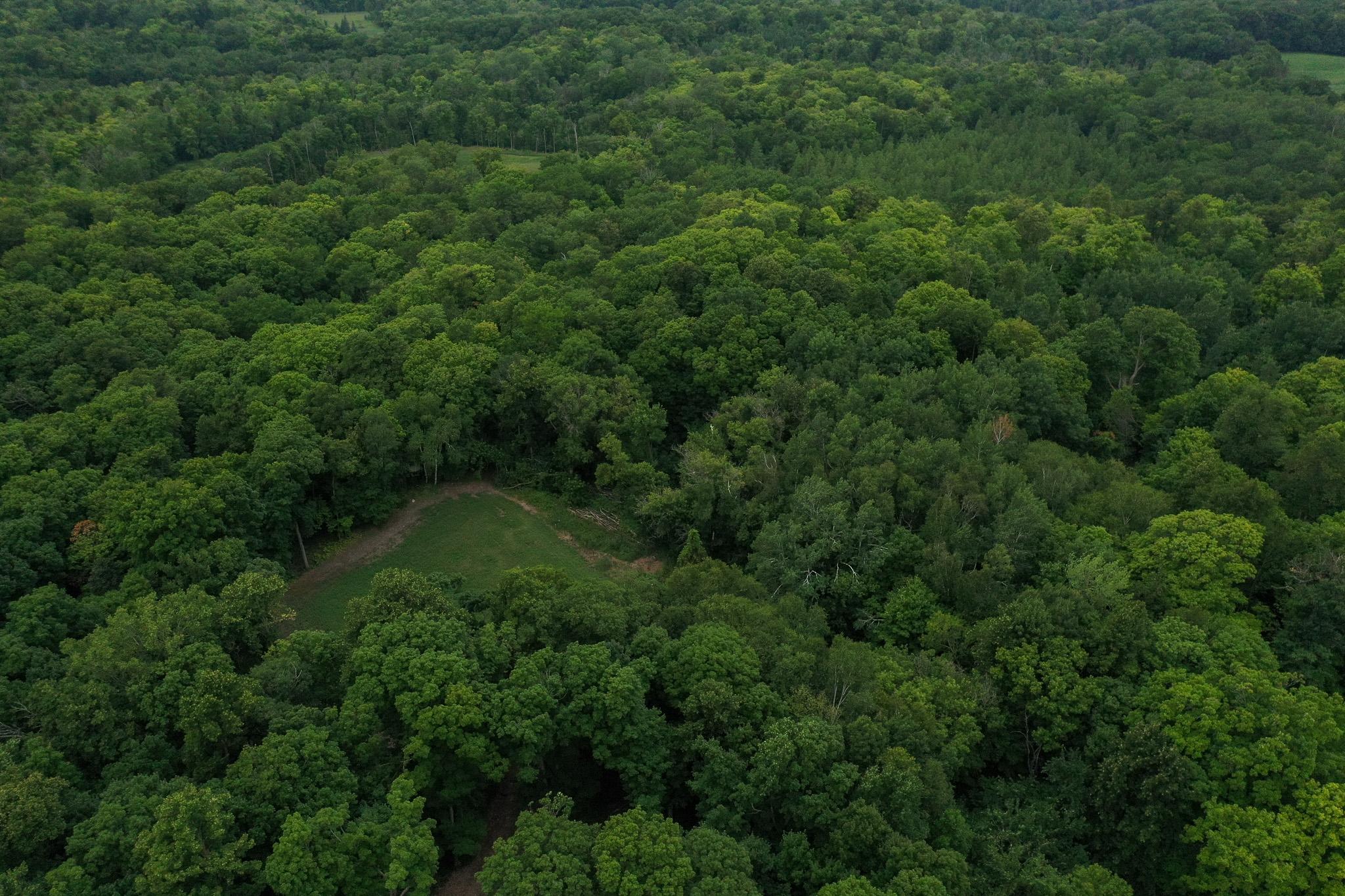 DJI_0971.jpg