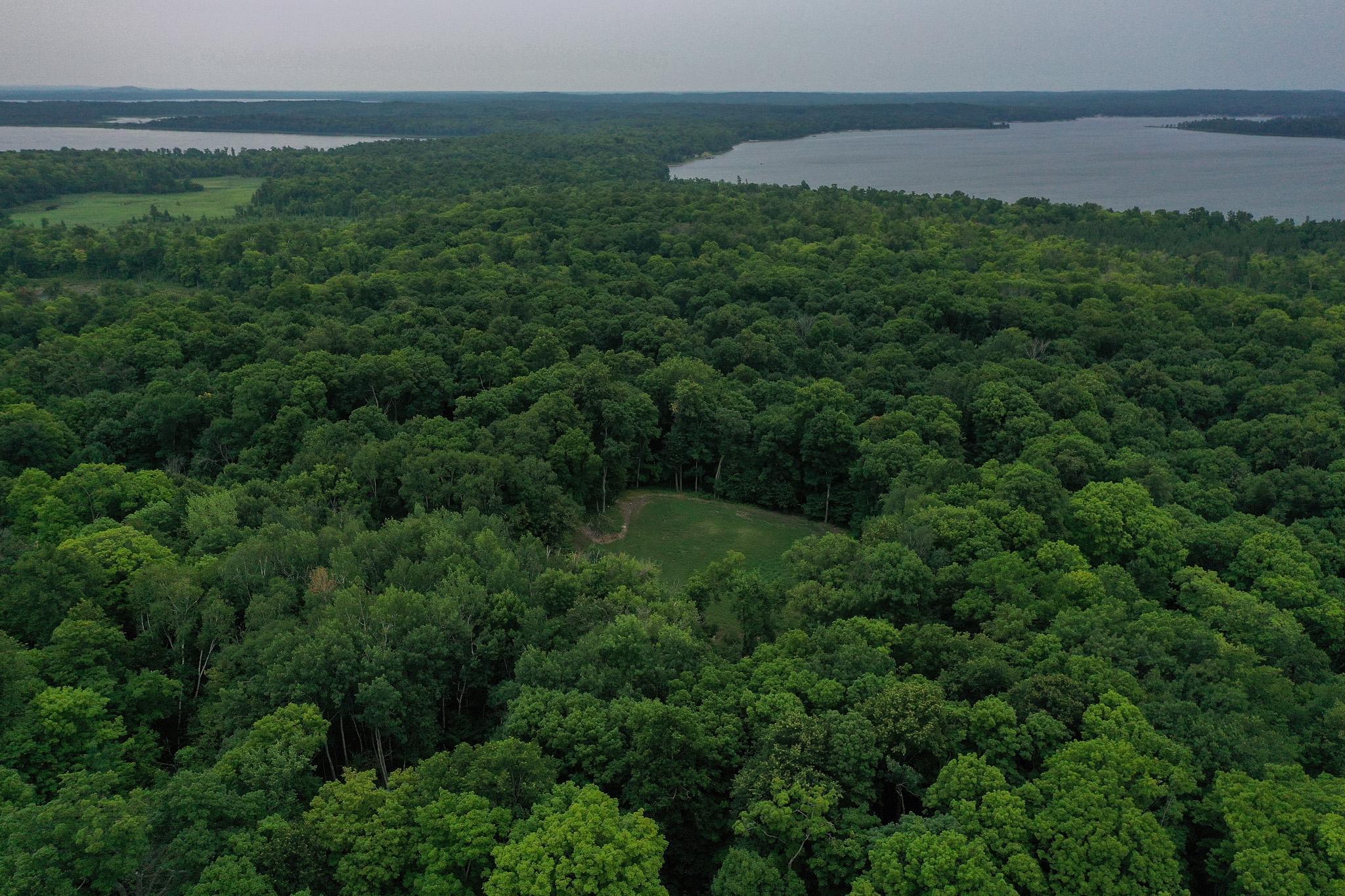 DJI_0966.jpg
