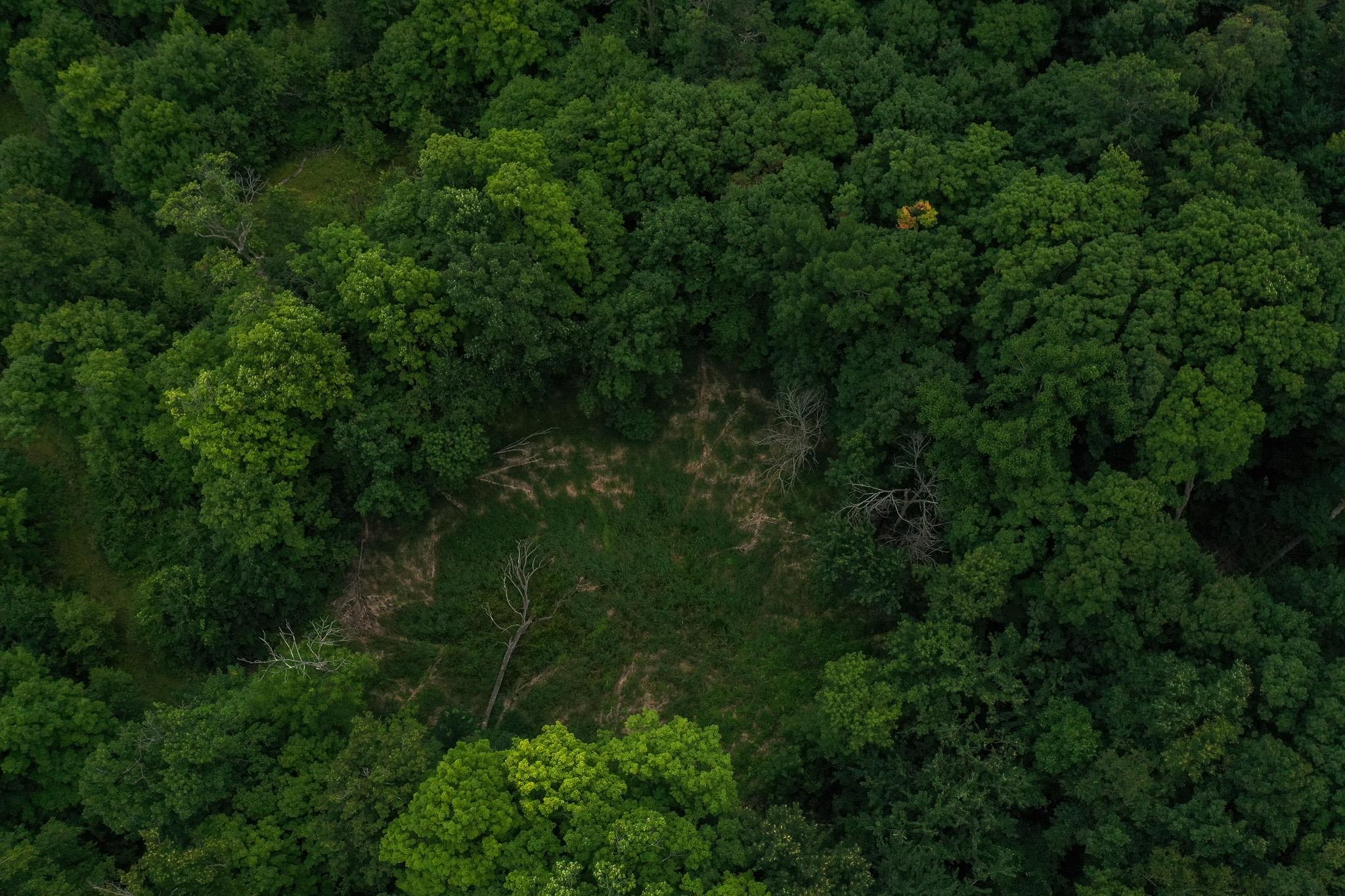 DJI_0967.jpg