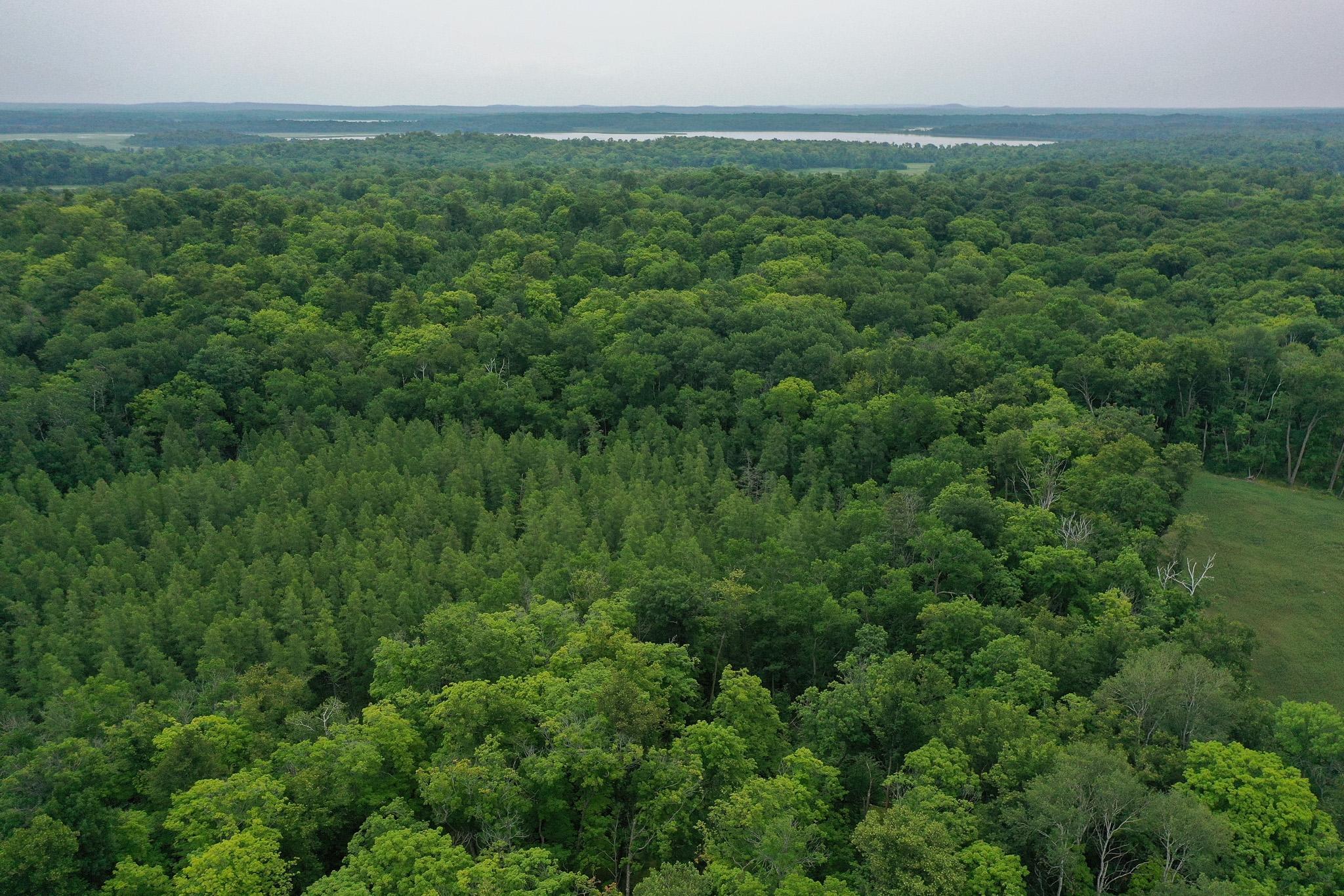 DJI_0949.jpg