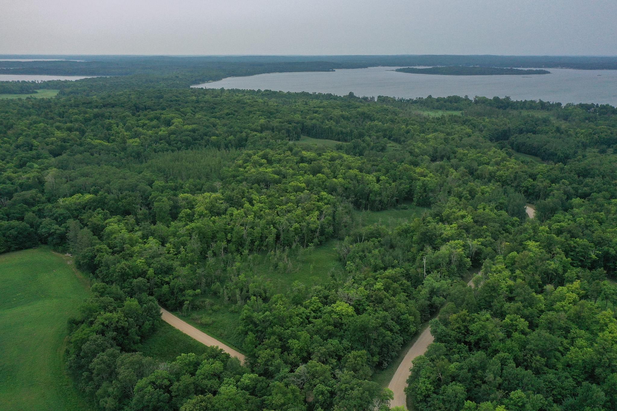 DJI_0963.jpg