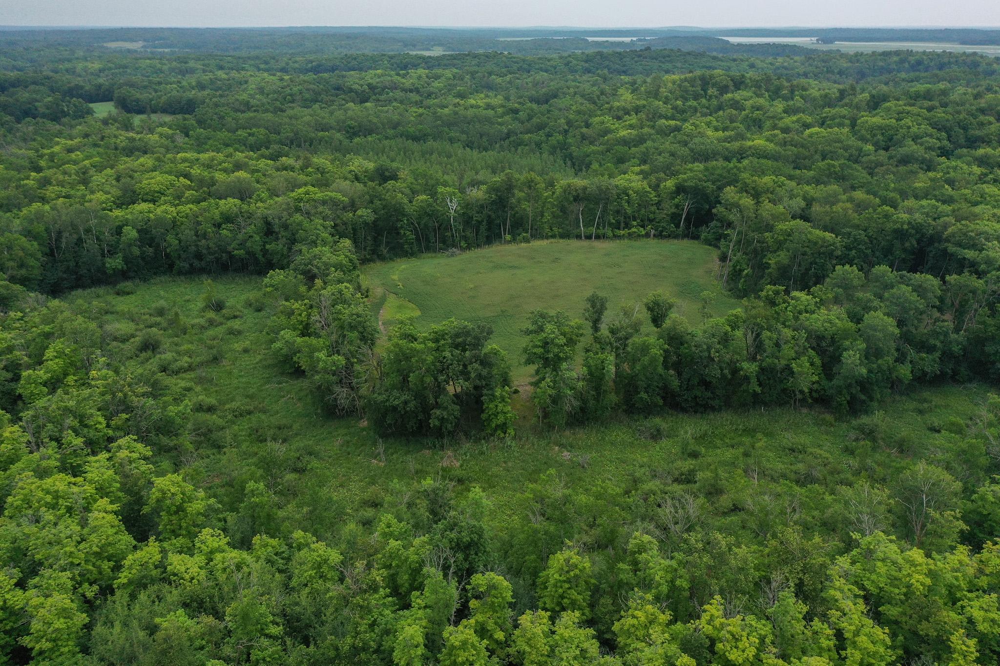 DJI_0944.jpg