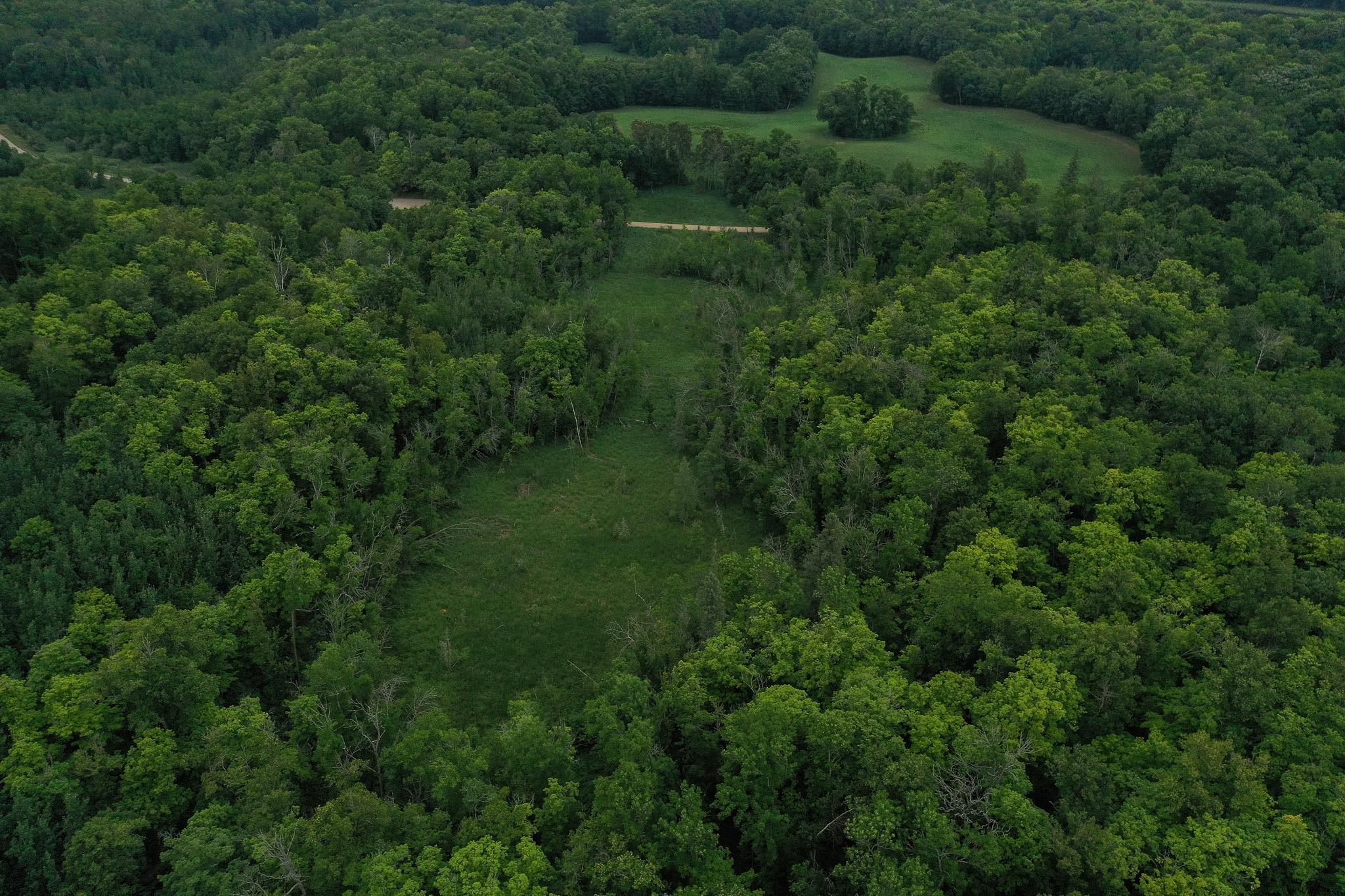 DJI_0959.jpg