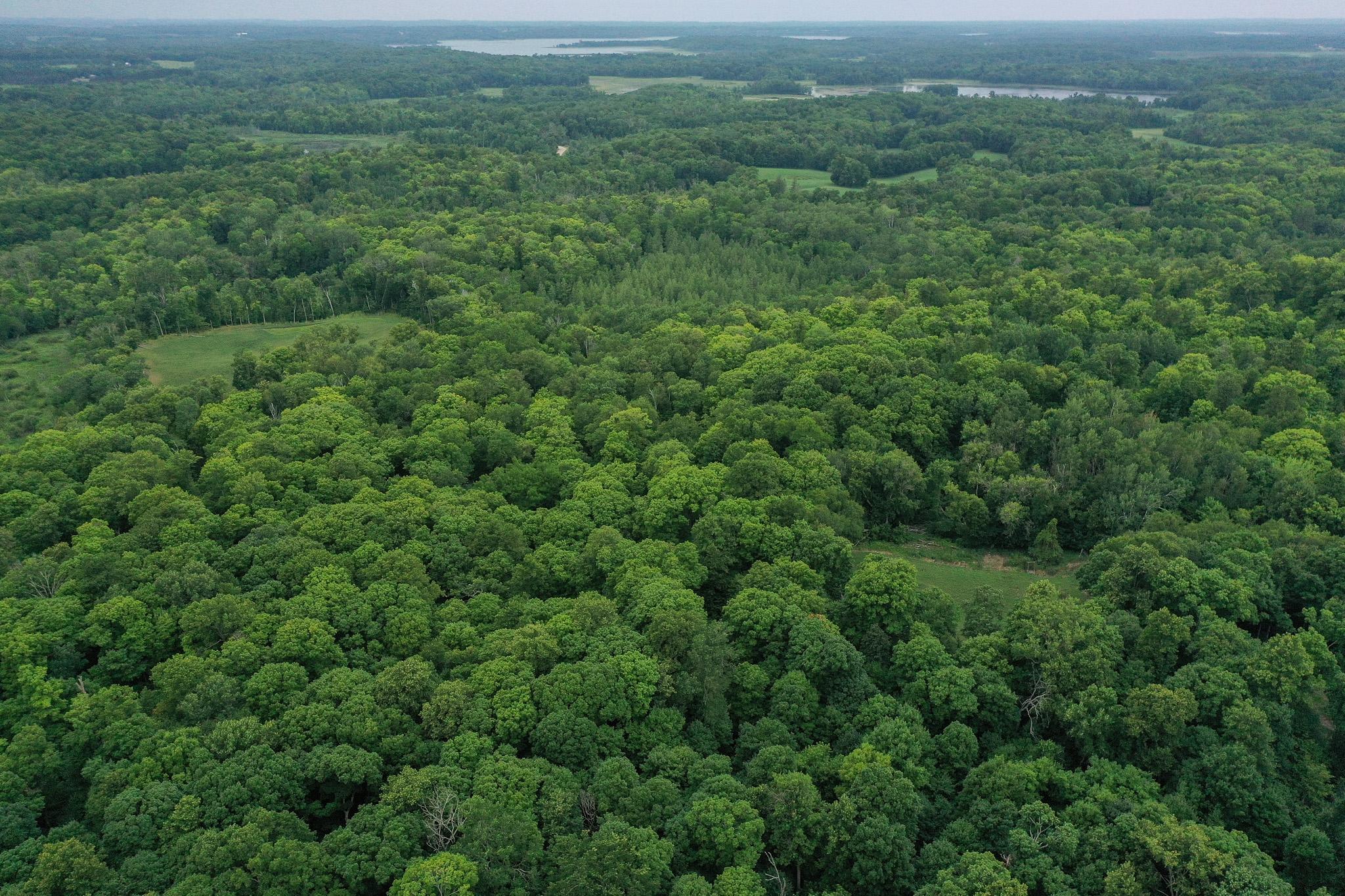 DJI_0955.jpg