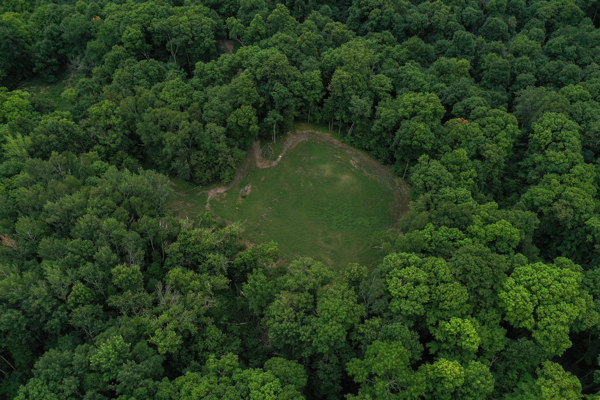 DJI_0952.jpg