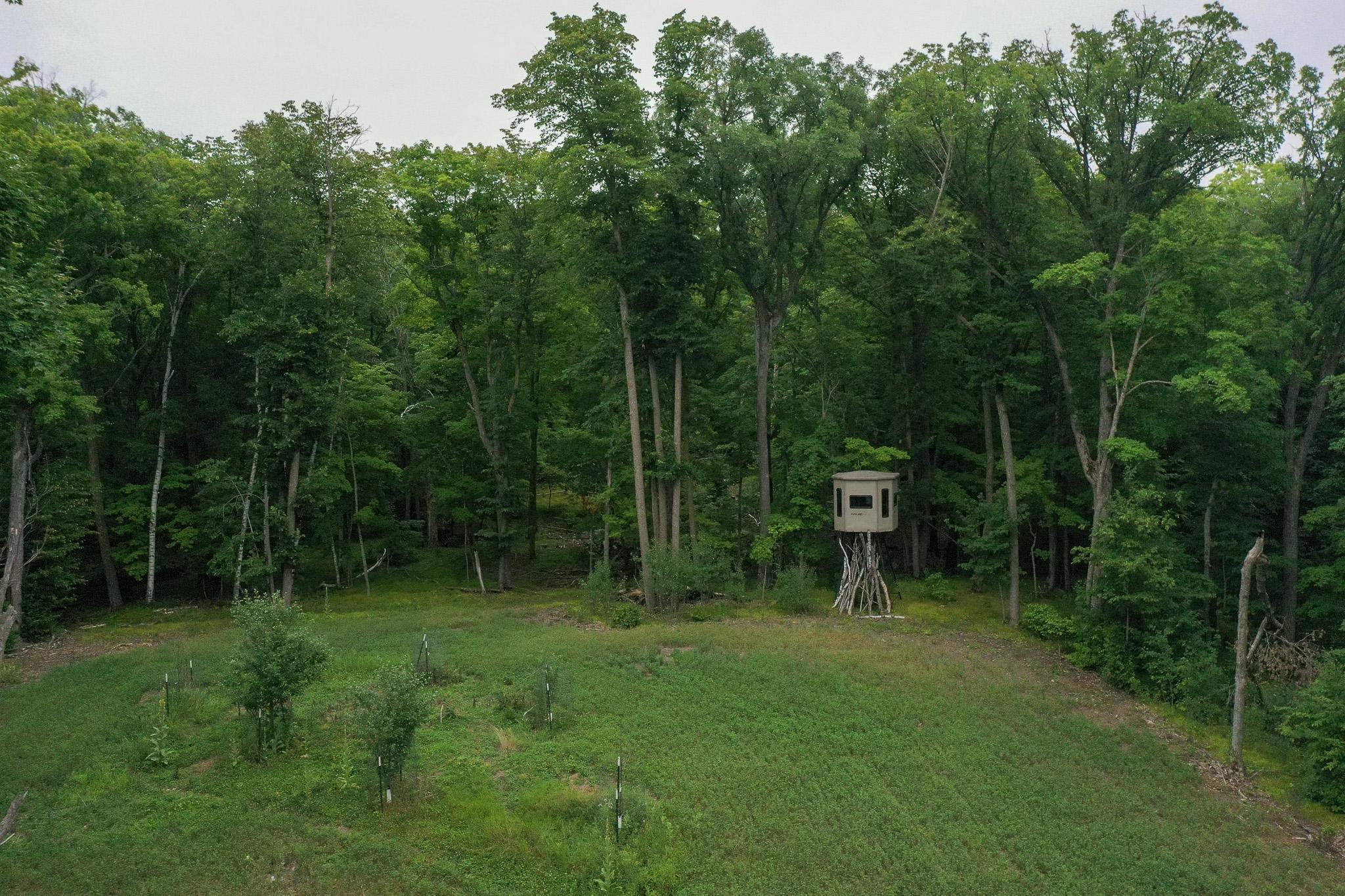 DJI_0975.jpg