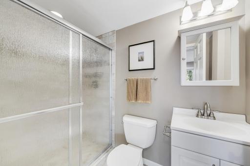 Lower level bathroom