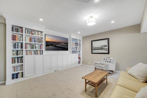 Lower level built-ins for extra storage