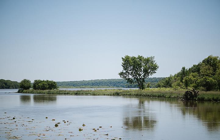 Experience all that Cottage Grove has to offer!