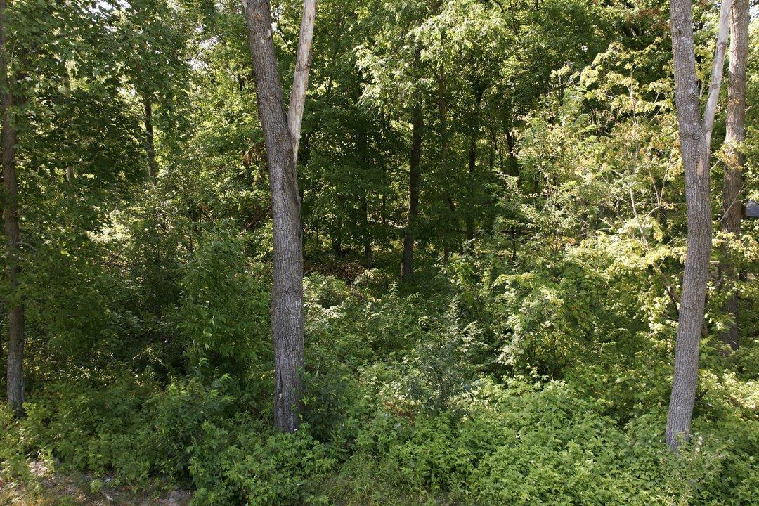 DJI_20260806160748_0136_D.jpg