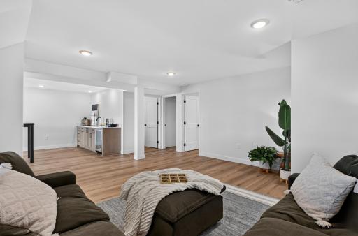 Walkout Level Family Room