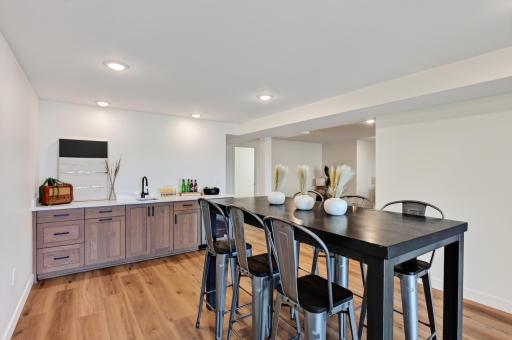 Walkout Level Party Room