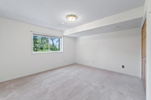 Lower level bedroom