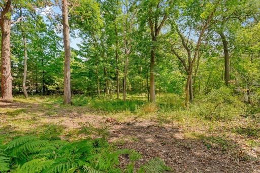 The wooded backyard is great space to take nature walks, view wildlife like the little fawns that are living there now.