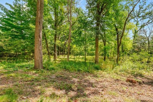 1200 Hallam Avenue N, Mahtomedi, MN 55115