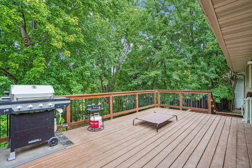 17425 Java Court N, Lakeville, MN 55044