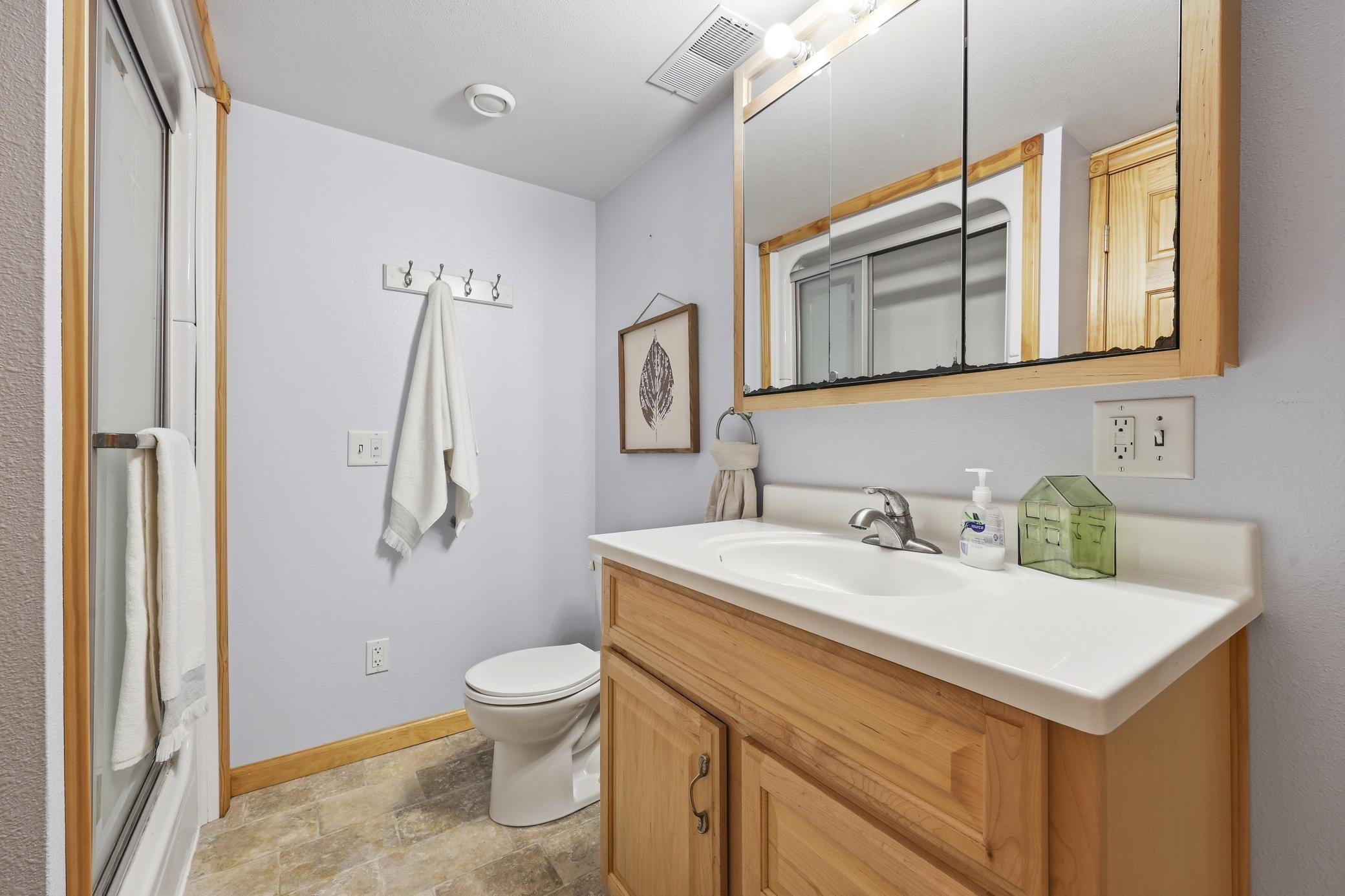 Lower Level Bathroom
