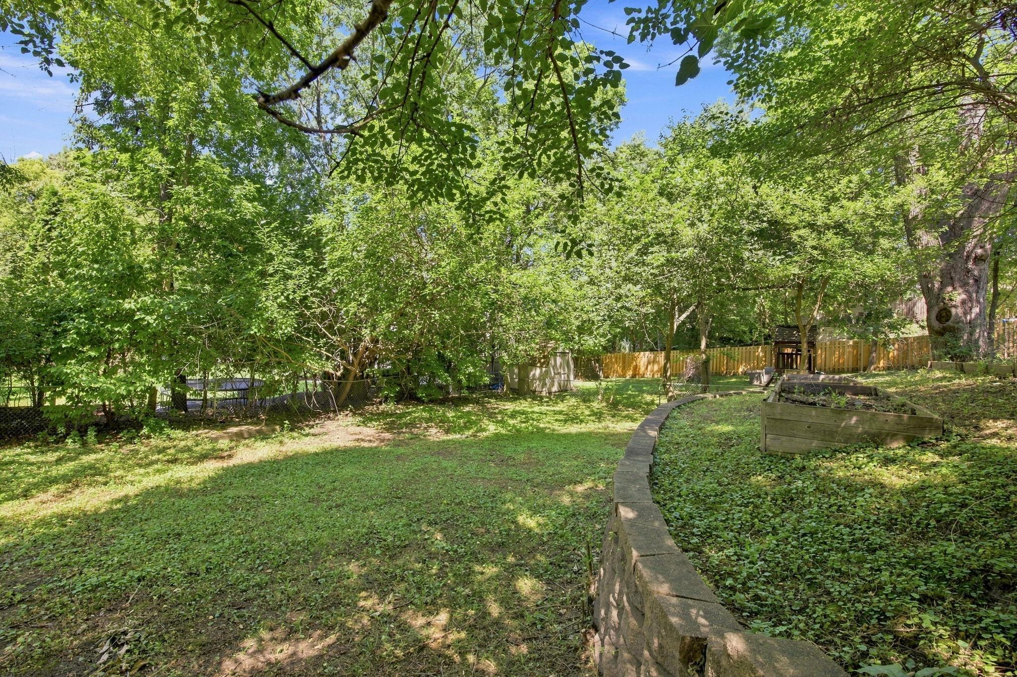 Back yard