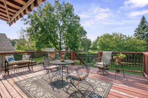 11441 57th Street NE, Albertville, MN 55301