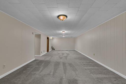 Huge Lower Level Family Room