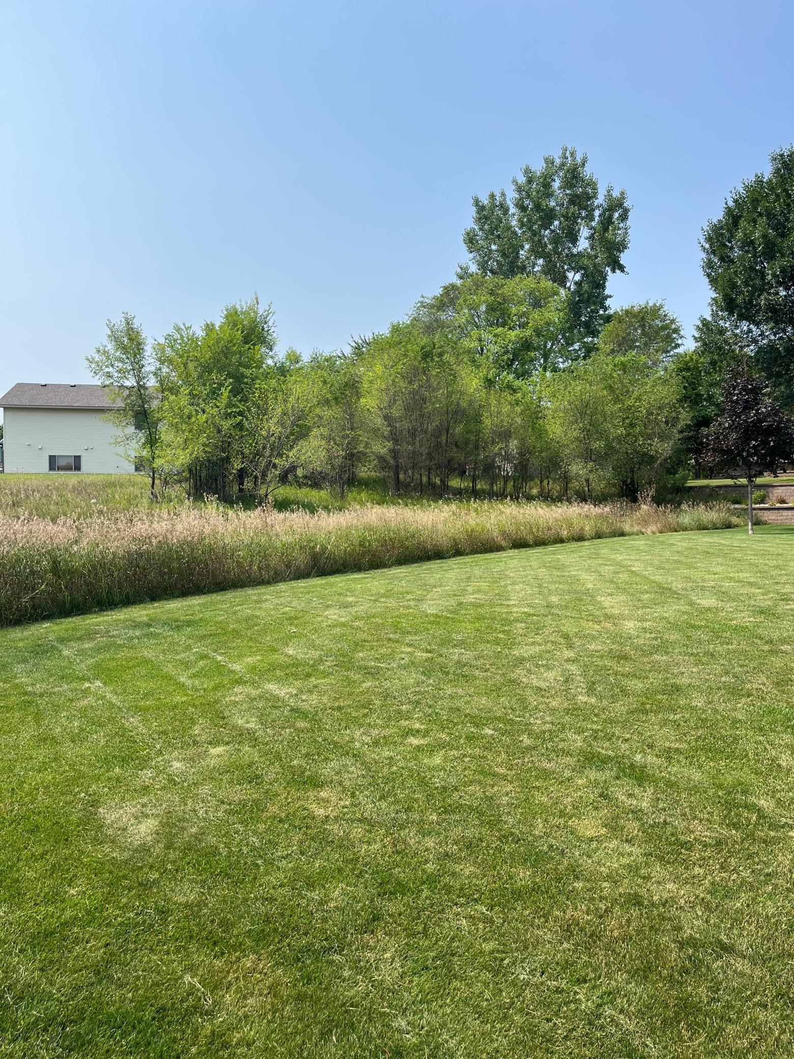 Neighbors take great care of their property. The lot is pictured here unmowed with trees in the back.