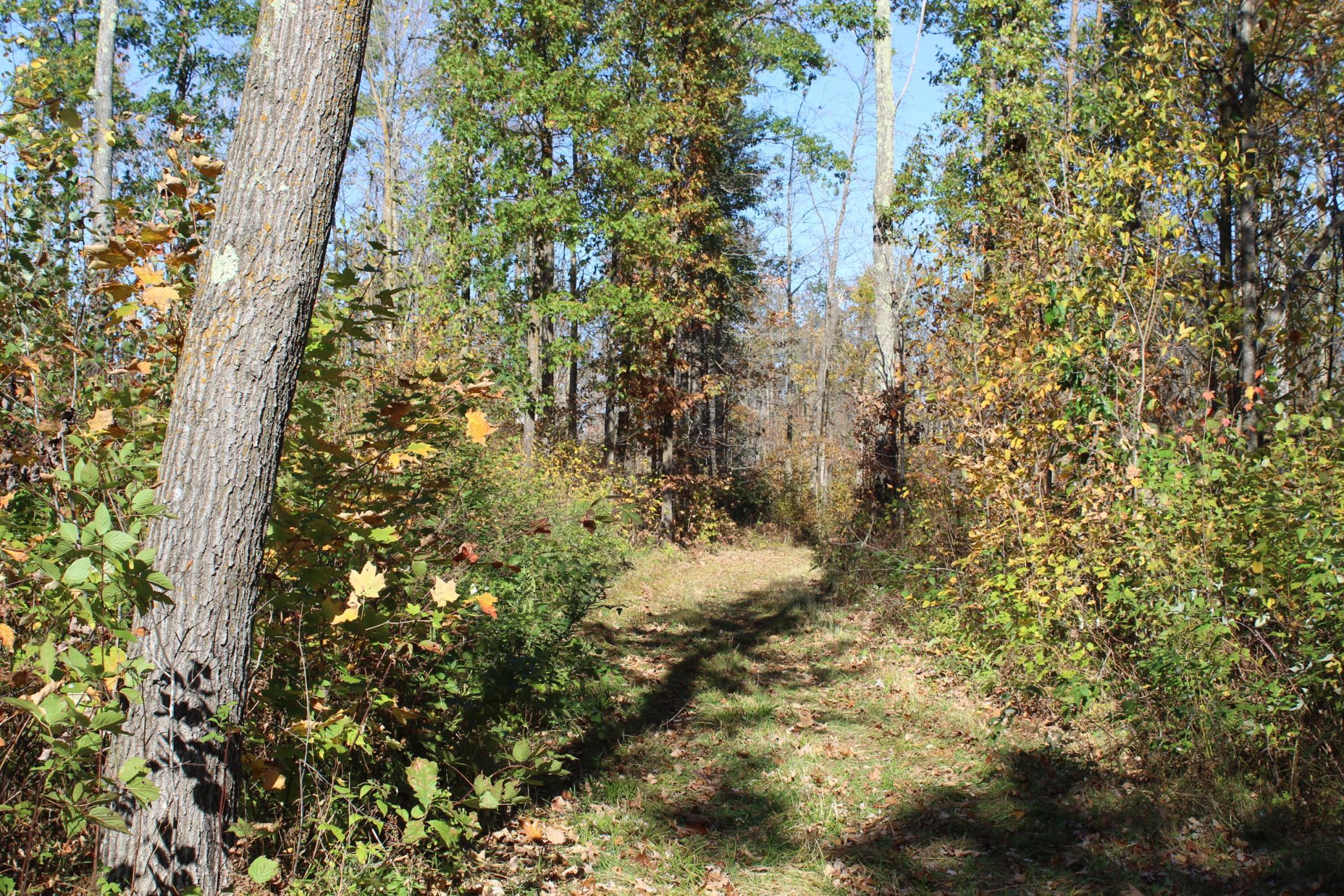 Photo 26