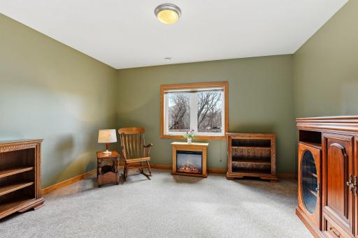 Second lower-level bedroom offering comfort and flexibility.