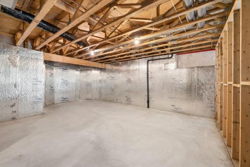 41-web-or-mls-12554-thrush-st-nw basement.jpg