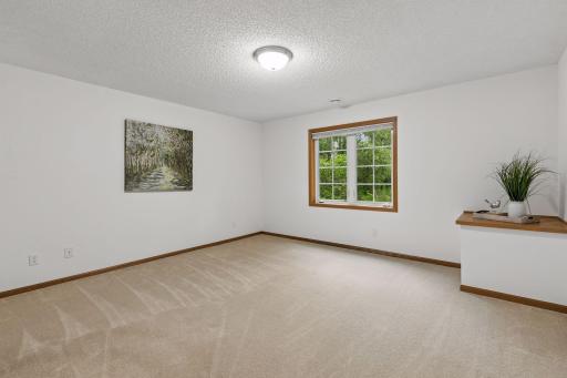 Lower Level Bedroom