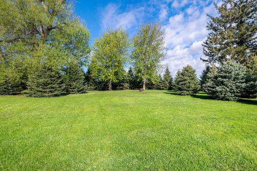 Many newer pines & trees to create a border and windbreak around the property.