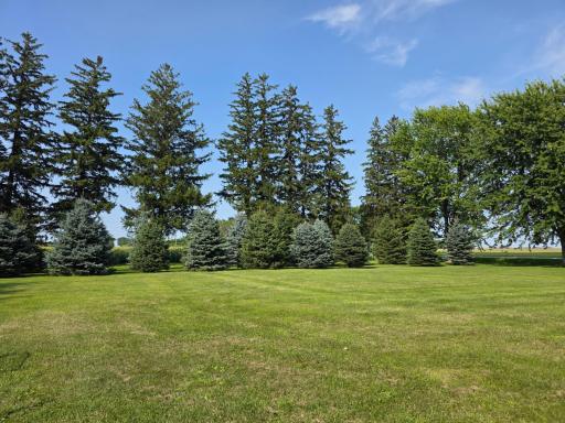 12964 E 270th Street, Kenyon, MN 55946