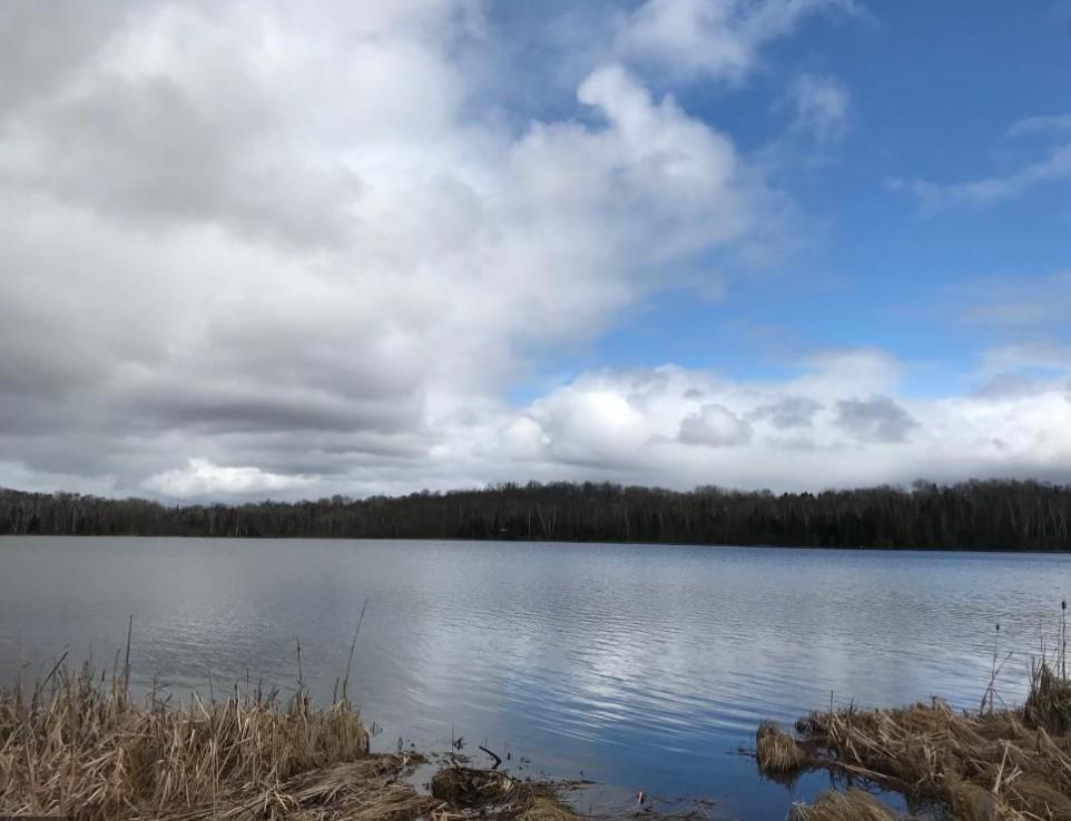 Property photo for XXX Brandon Road, Brookston, MN 55720