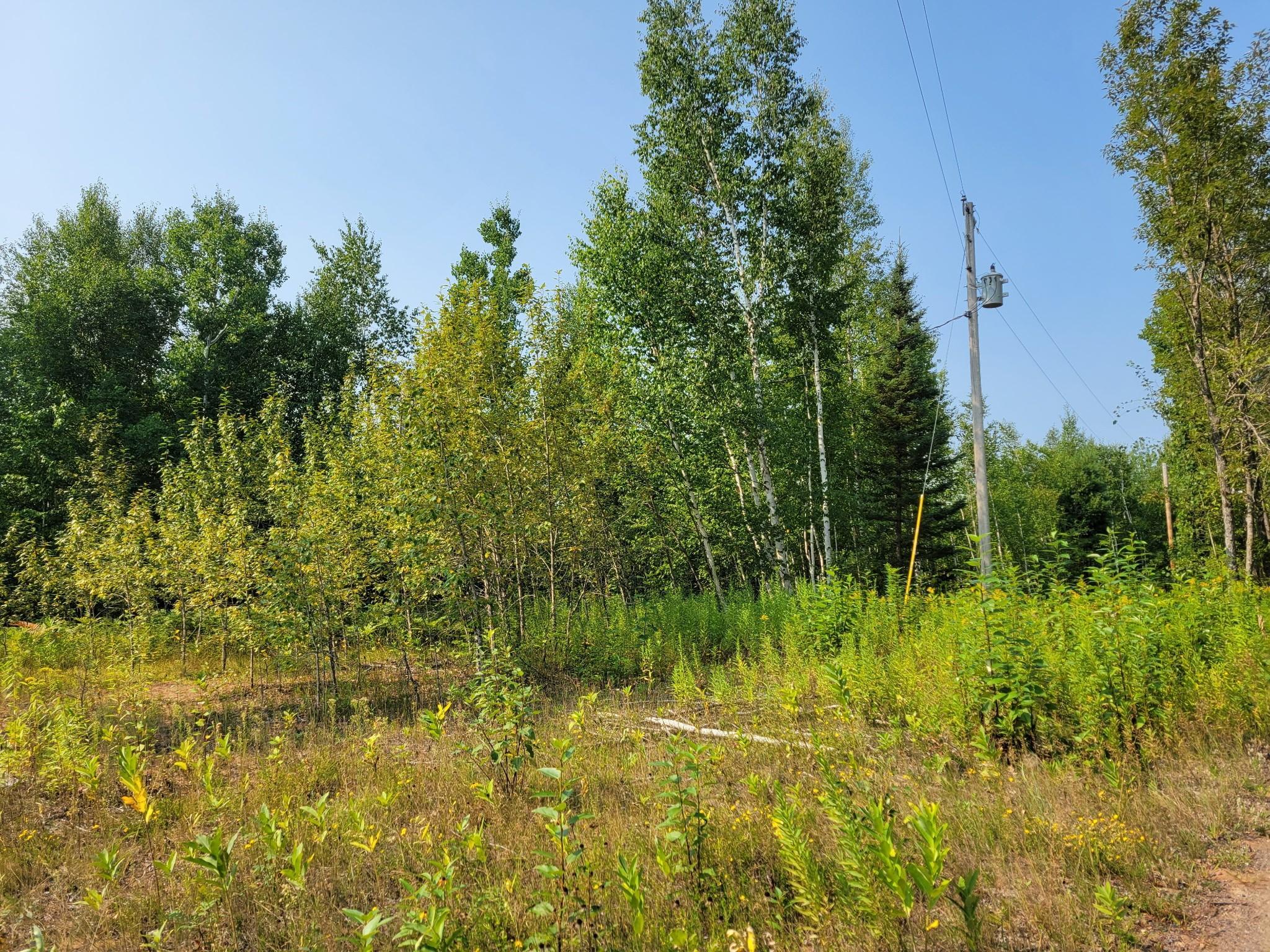 Brandon Rd