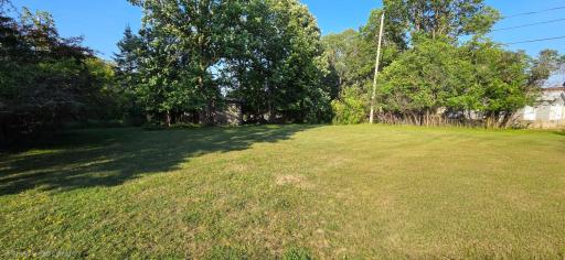 Back yard