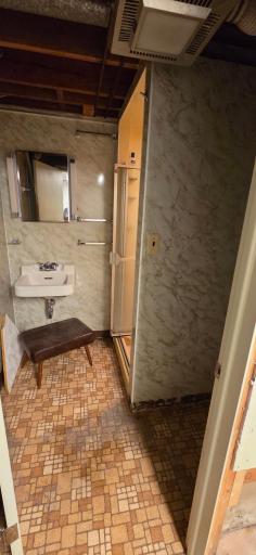 Lower level 3/4 bath