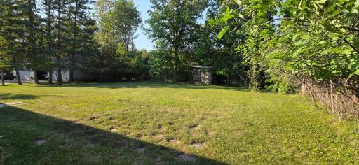 Back yard