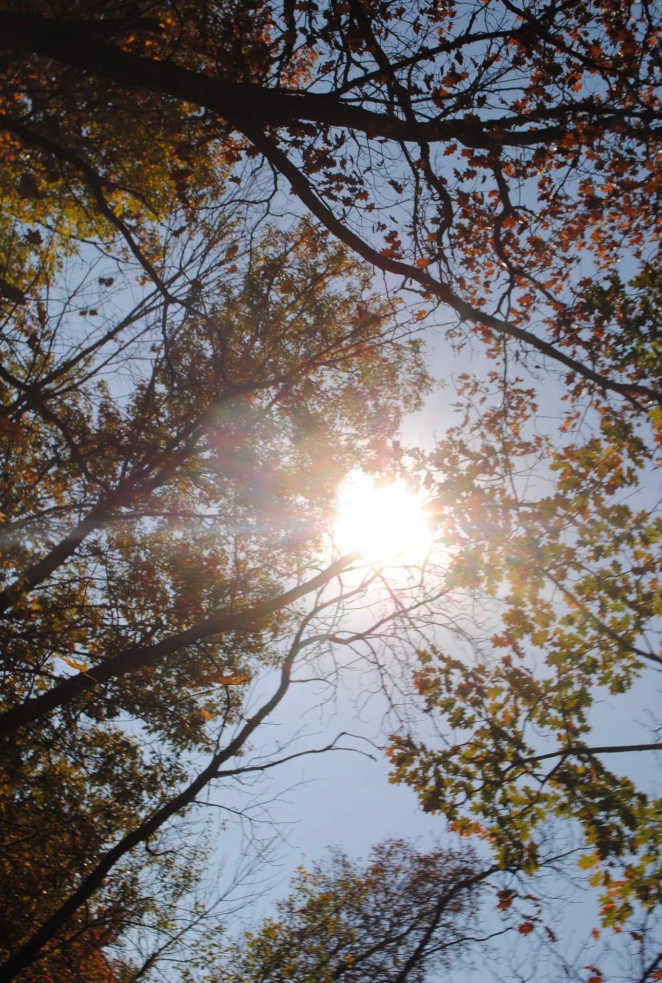 IMG_8302.JPEG
