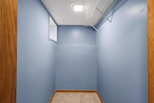 Another fantastic closet in the den/office space