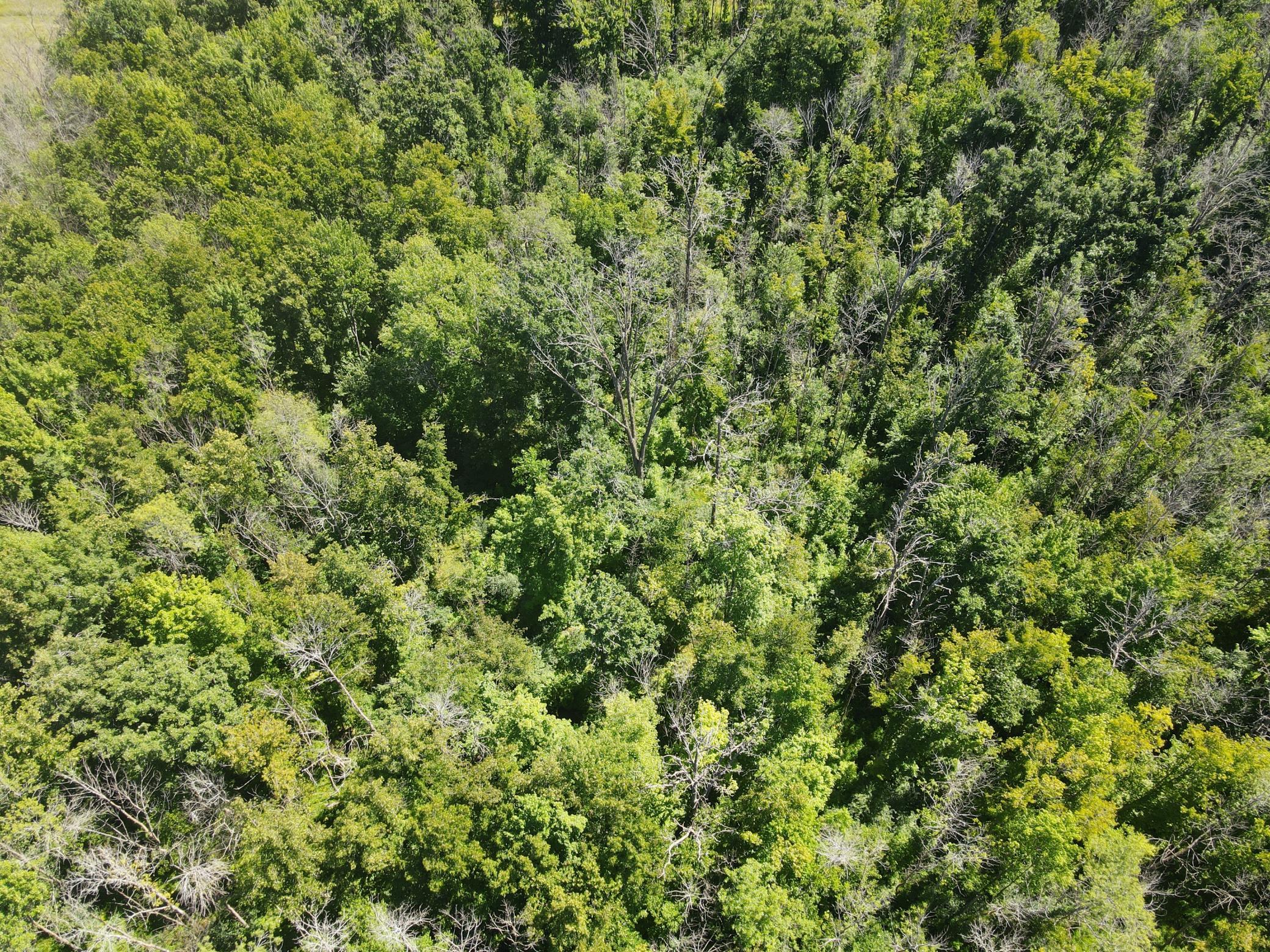 DJI_0161.JPG
