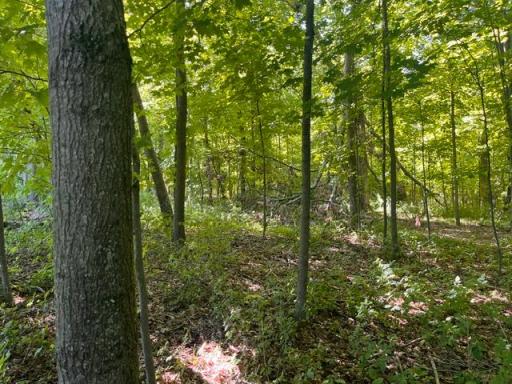 Photo for Lot 2 County Rd BB, Woodville, WI 54028 - listing #7123758 Lot 2 County Rd BB, Woodville, WI 54028